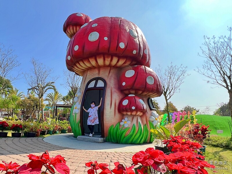 嘉義親子景點推薦!3000坪三隻小豬觀光農場,動物園 滑草 DIY全家暢玩。