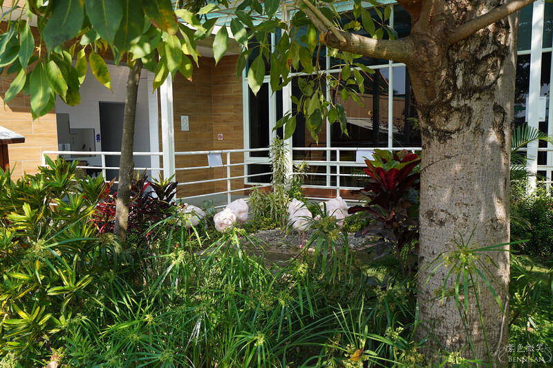 嘉義親子景點推薦!3000坪三隻小豬觀光農場,動物園 滑草 DIY全家暢玩。