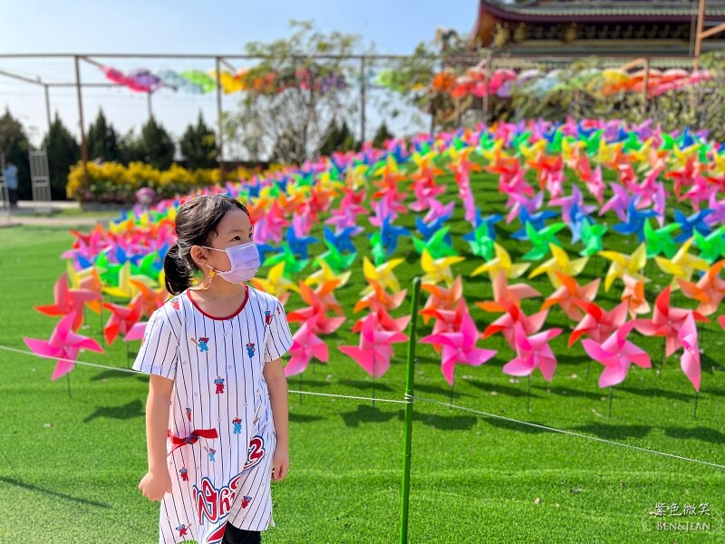 嘉義親子景點推薦!3000坪三隻小豬觀光農場,動物園 滑草 DIY全家暢玩。