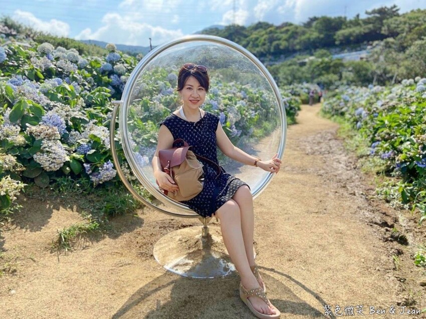 2025高家繡球花田！竹子湖 萬里雙園區8000坪花海盛開，交通門票一覽。