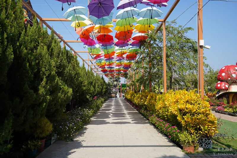 嘉義親子景點推薦!3000坪三隻小豬觀光農場,動物園 滑草 DIY全家暢玩。