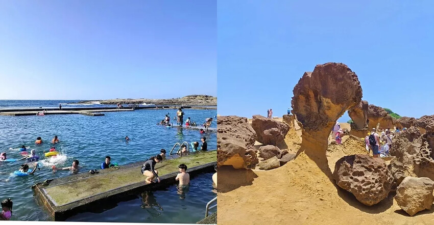 2025高家繡球花田！竹子湖 萬里雙園區8000坪花海盛開，交通門票一覽。