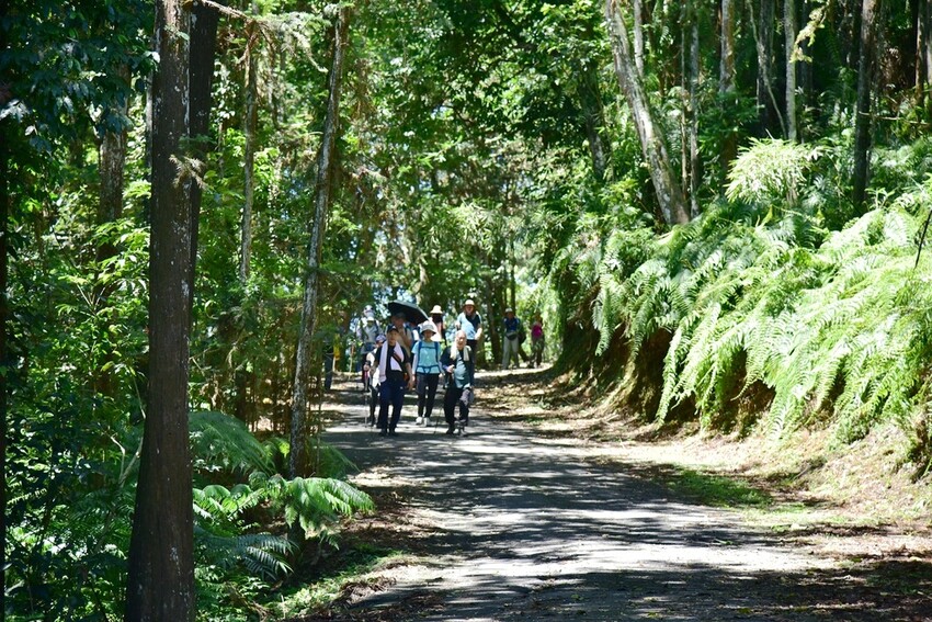 南投魚池鄉｜貓囒山步道 日月潭私房景點 貓囒山步道絕美視野大