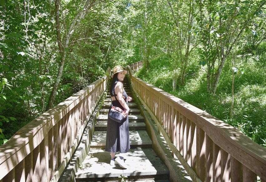 南投魚池鄉｜貓囒山步道 日月潭私房景點 貓囒山步道絕美視野大