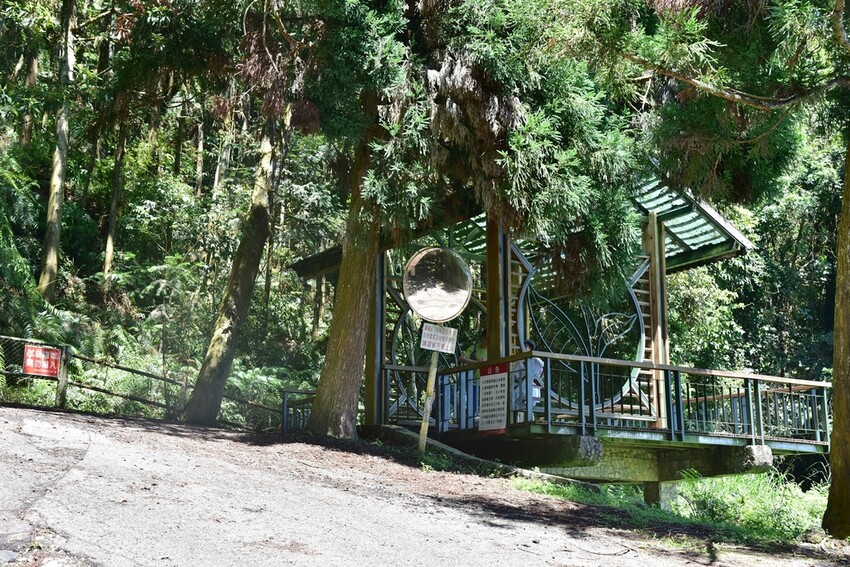 南投魚池鄉｜貓囒山步道 日月潭私房景點 貓囒山步道絕美視野大
