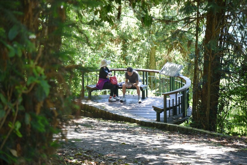 南投魚池鄉｜貓囒山步道 日月潭私房景點 貓囒山步道絕美視野大