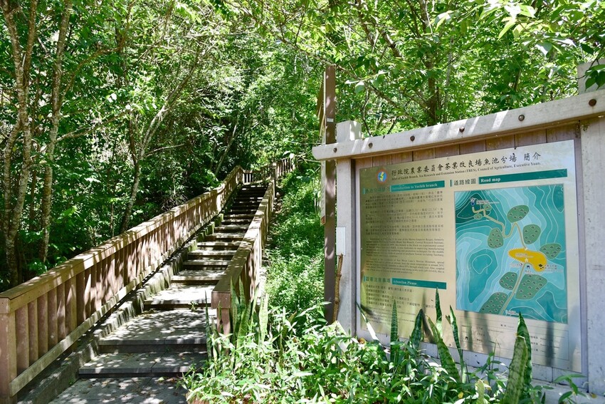 南投魚池鄉｜貓囒山步道 日月潭私房景點 貓囒山步道絕美視野大