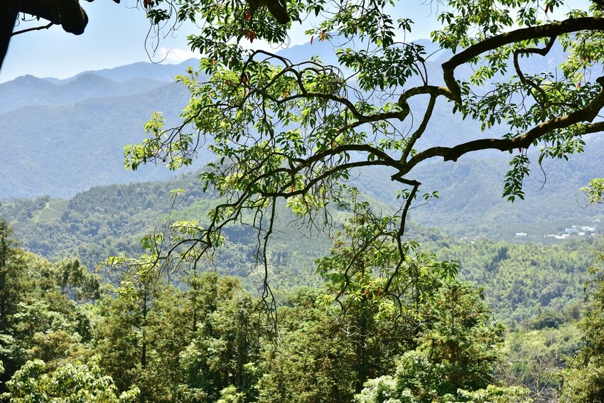 南投魚池鄉｜貓囒山步道 日月潭私房景點 貓囒山步道絕美視野大