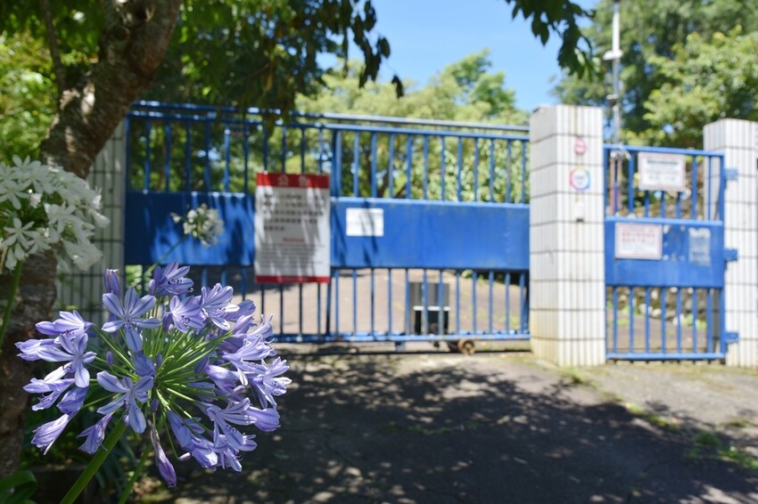 南投魚池鄉｜貓囒山步道 日月潭私房景點 貓囒山步道絕美視野大