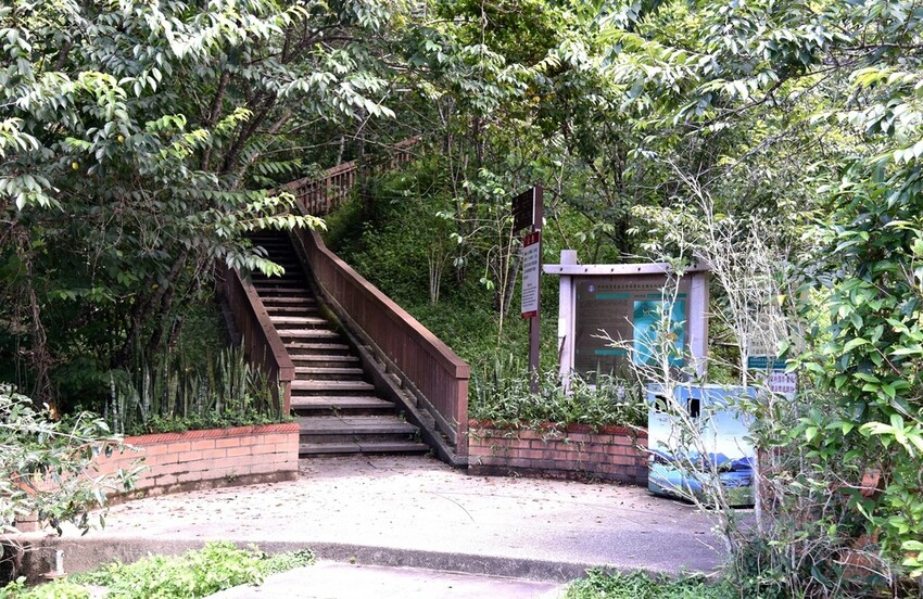 南投魚池鄉｜貓囒山步道 日月潭私房景點 貓囒山步道絕美視野大