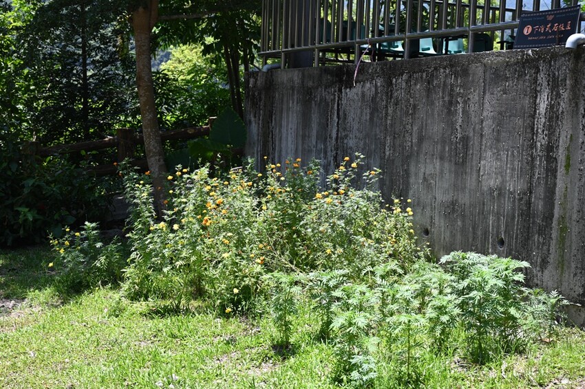 部落深度旅行二日遊。一次玩遍高雄屏東三大部落、萬山部落、大社部落、萬安部落、部落旅遊推薦！ - 快樂的過每一天
