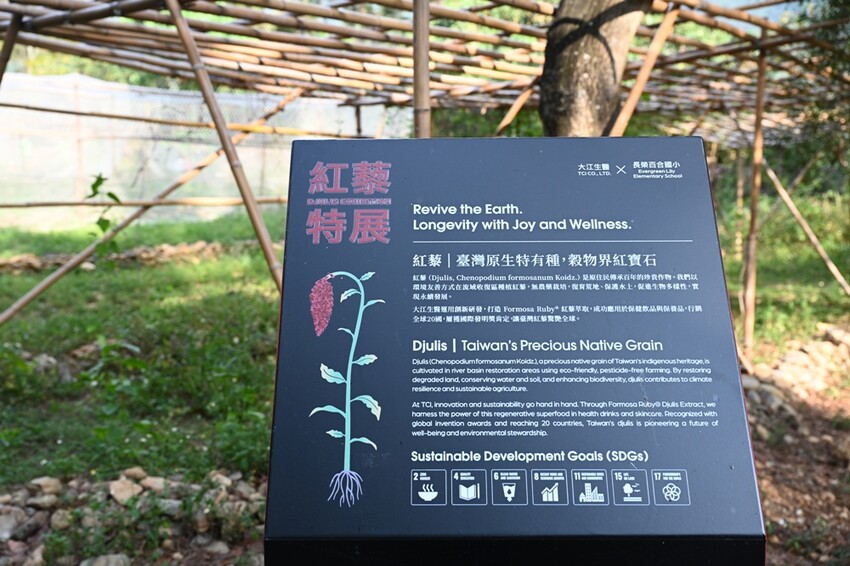 部落深度旅行二日遊。一次玩遍高雄屏東三大部落、萬山部落、大社部落、萬安部落、部落旅遊推薦！ - 快樂的過每一天