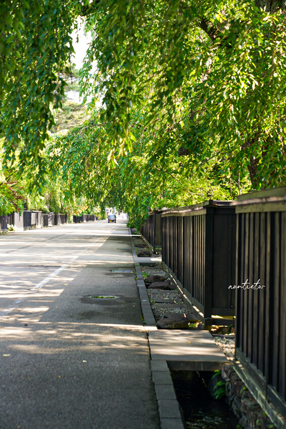 日本秋田賞楓秘境！江戶武士城下町 角館武家屋敷，探訪武士宅邸河原田家。