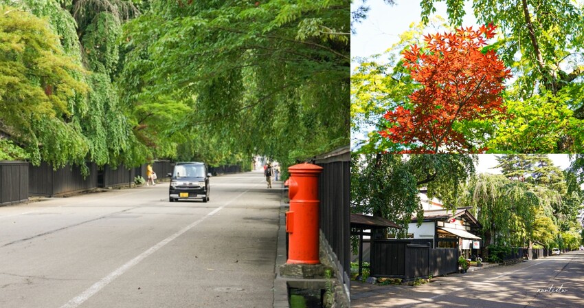 日本秋田賞楓秘境！江戶武士城下町 角館武家屋敷，探訪武士宅邸河原田家。