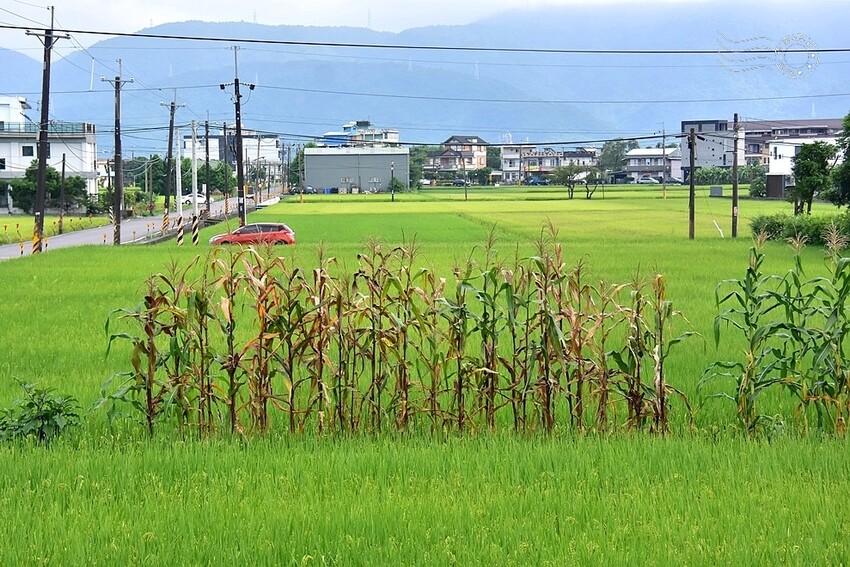 宜蘭一景