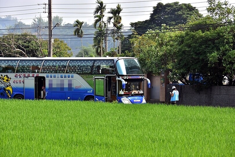 嘉義【鹿麻產車站】周遭稻田 嘉義【鹿麻產車站】周遭稻田