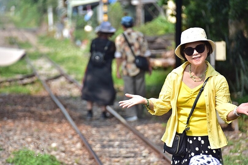 嘉義【鹿麻產車站】 嘉義【鹿麻產車站】