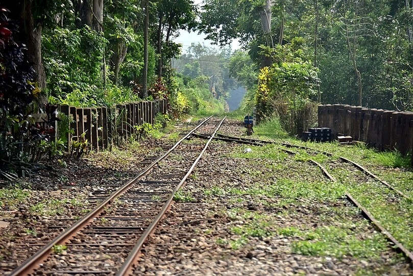 嘉義【鹿麻產車站】 嘉義【鹿麻產車站】