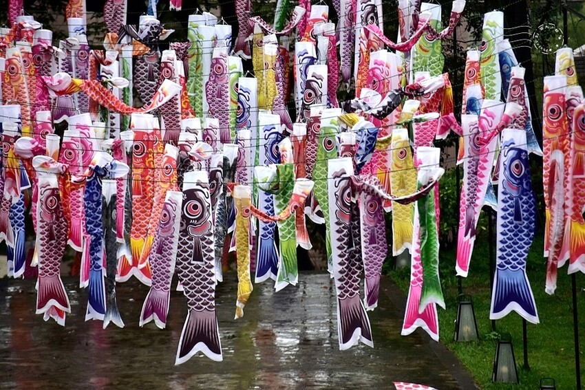 桃園神社 (夏日祭典 鯉魚流光祭り)