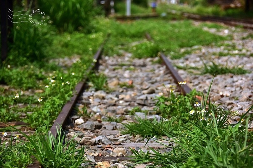 嘉義【鹿麻產車站】 嘉義【鹿麻產車站】