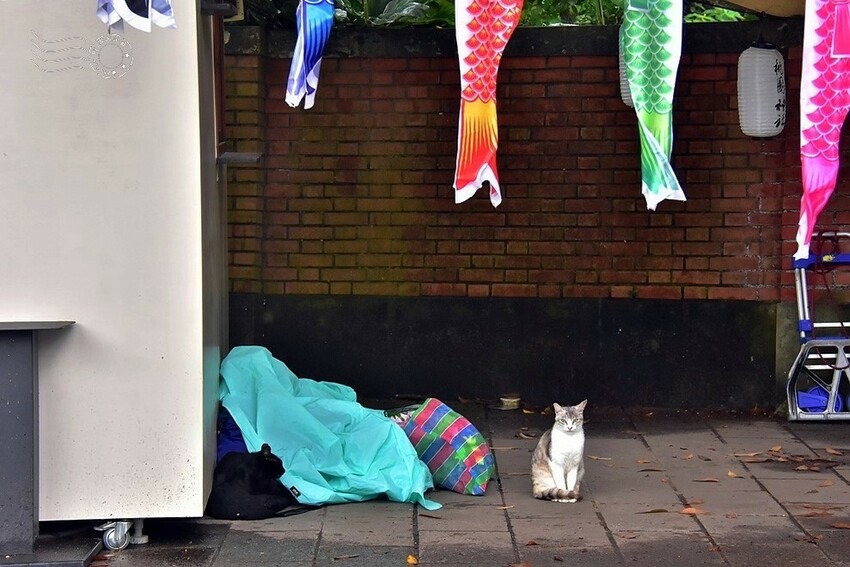 桃園神社 No Worries Café