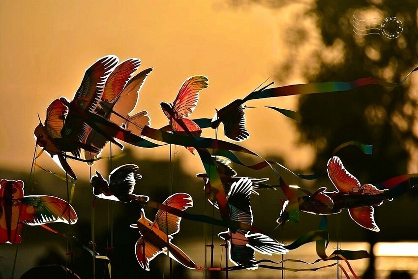 2025大年初一的淡水