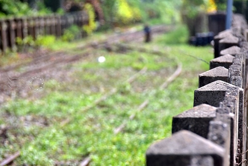 嘉義【鹿麻產車站】 嘉義【鹿麻產車站】