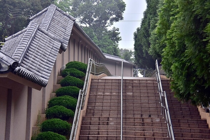 九華山大興善寺 九華山大興善寺