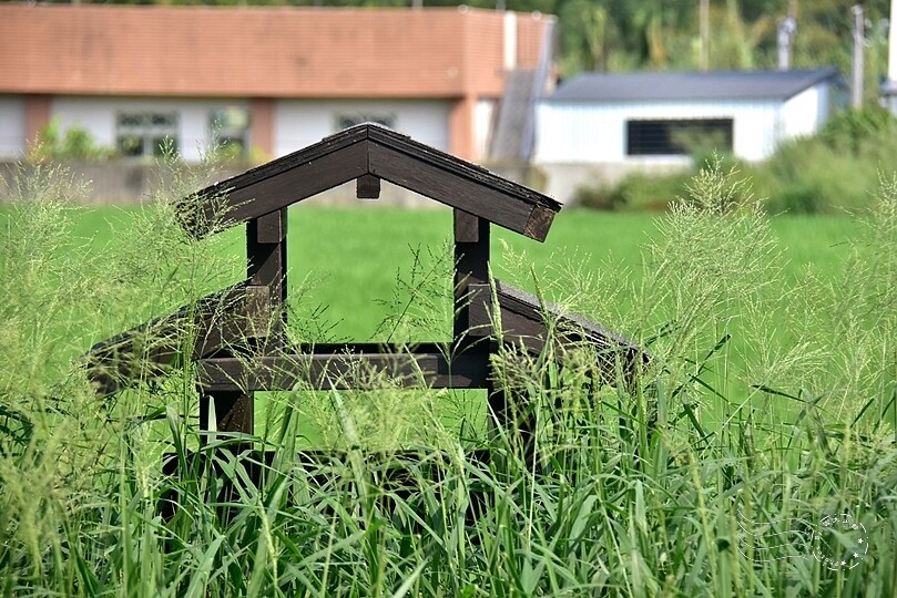 嘉義【鹿麻產車站】周遭稻田 嘉義【鹿麻產車站】周遭稻田
