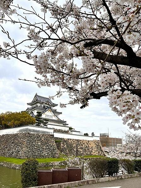 大阪近郊【岸和田城】名城走訪隨記