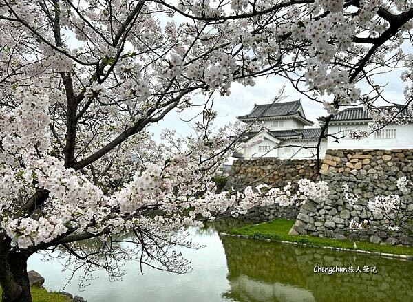 大阪近郊【岸和田城】名城走訪隨記