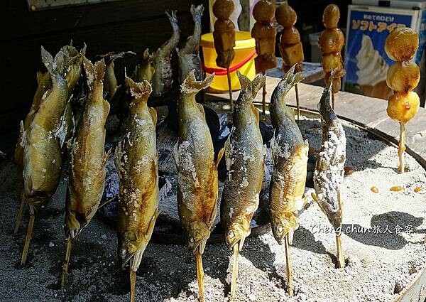 日本三大奇橋【祖谷藤蔓橋】德島縣秘境祖谷のかずら橋