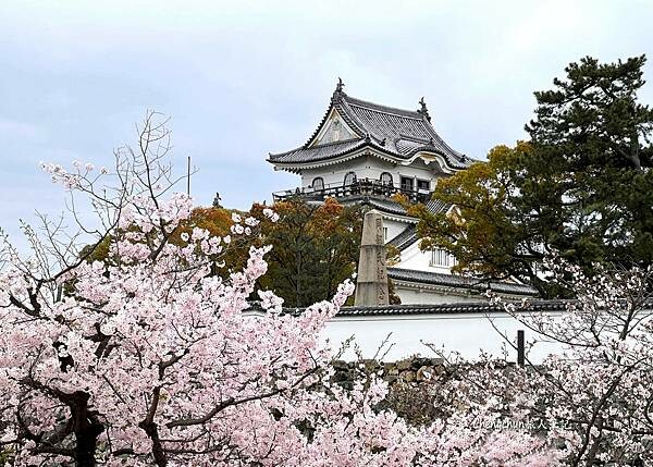 大阪近郊【岸和田城】名城走訪隨記