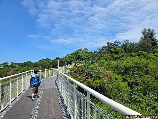 八卦山天空步道14-返程.jpg
