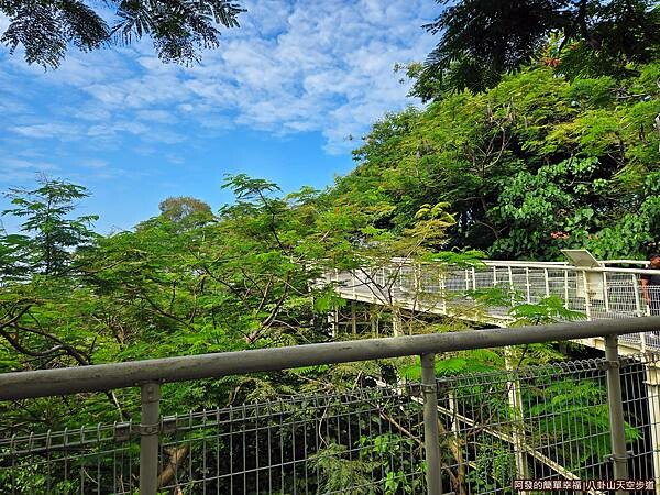 八卦山天空步道10-步道一隅.jpg