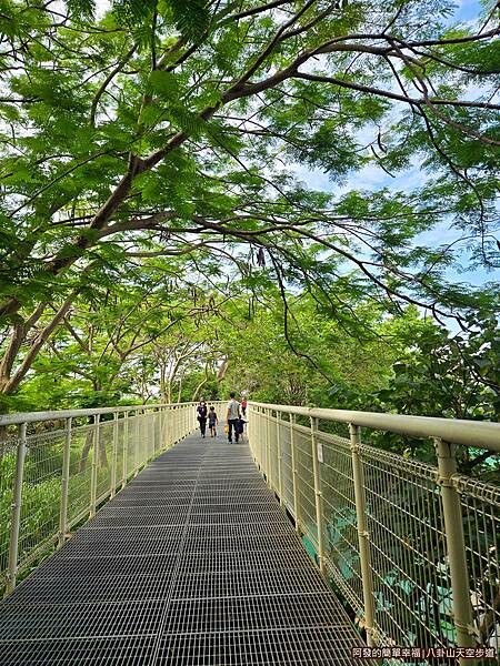 八卦山天空步道08-綠蔭天空步道.jpg