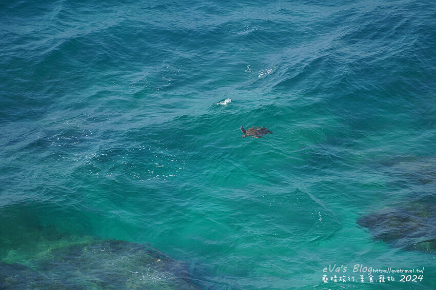 屏東縣琉球鄉【小琉球景點】望海亭｜從高處遠觀海龜與海景的最佳位置，屬美人洞風景區需購票入場。小琉球旅行