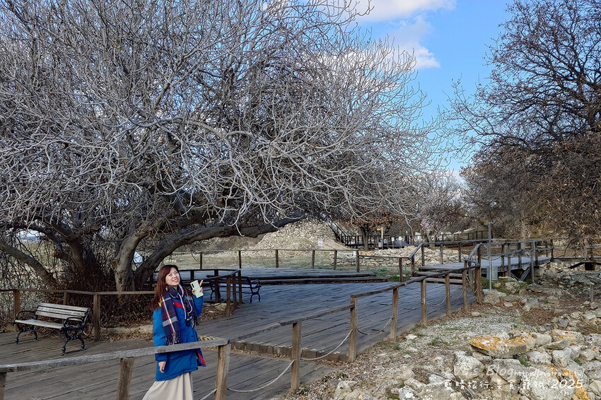 土耳其【土耳其蜜月旅遊】Archaeological Site of Troy 特洛伊遺址|九層文明與木馬傳說的世界遺產探索。土耳其景點
