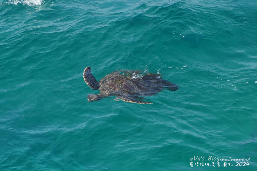 屏東縣琉球鄉【小琉球景點】望海亭｜從高處遠觀海龜與海景的最佳位置，屬美人洞風景區需購票入場。小琉球旅行
