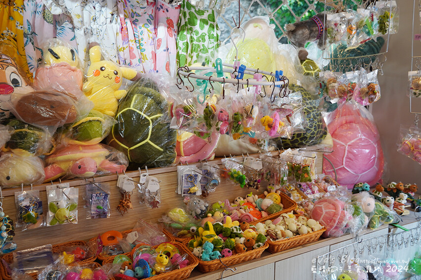 屏東縣琉球鄉【小琉球景點】望海亭｜從高處遠觀海龜與海景的最佳位置，屬美人洞風景區需購票入場。小琉球旅行