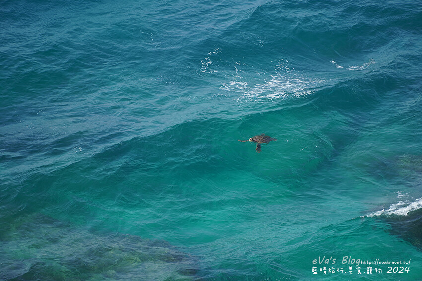 屏東縣琉球鄉【小琉球景點】望海亭｜從高處遠觀海龜與海景的最佳位置，屬美人洞風景區需購票入場。小琉球旅行