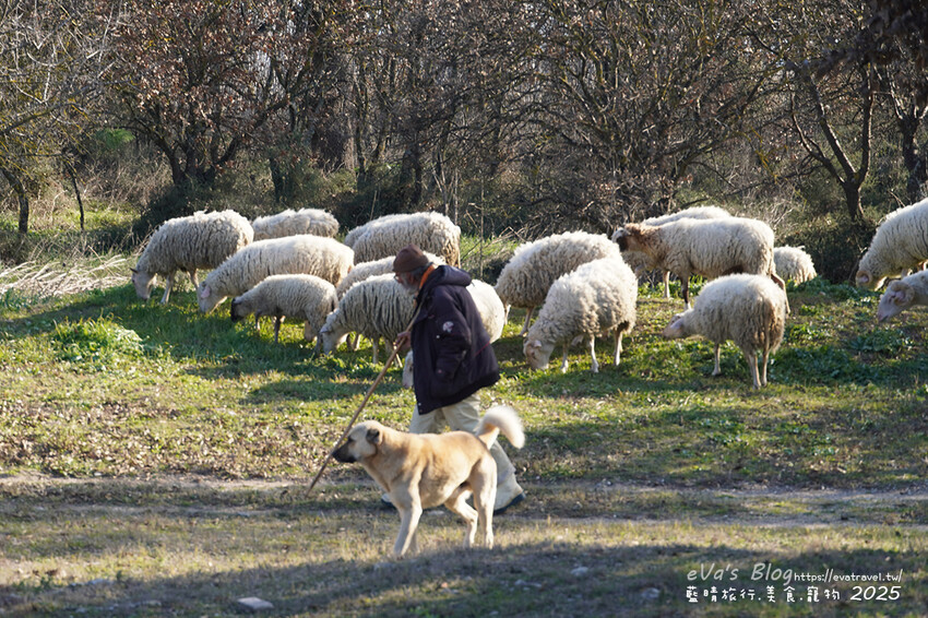 土耳其【土耳其蜜月旅遊】Archaeological Site of Troy 特洛伊遺址|九層文明與木馬傳說的世界遺產探索。土耳其景點