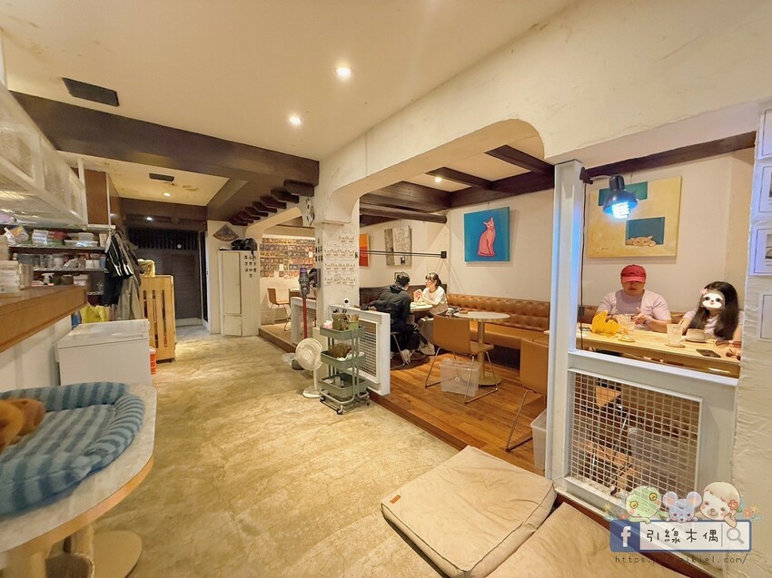 新竹市北區《招財咖啡》吃美食同時有水豚泡澡貓打盹？來新竹這間人氣寵物咖啡館體驗5重療癒！