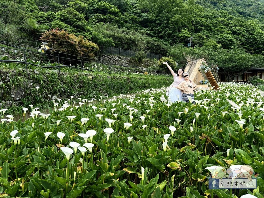 台北市北投區北投晶泉丰旅×高鐵飯店聯票專案=最強泡湯攻略？這6點告訴你值不值得！雙湯池、HAPPY HOUR暢飲、日系早餐等，新北投捷運站步行3分鐘。