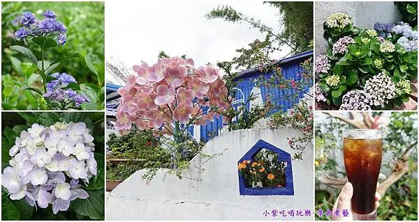 2025枕頭山農莊-首圖.jpg 2025枕頭山農莊-首圖.jpg