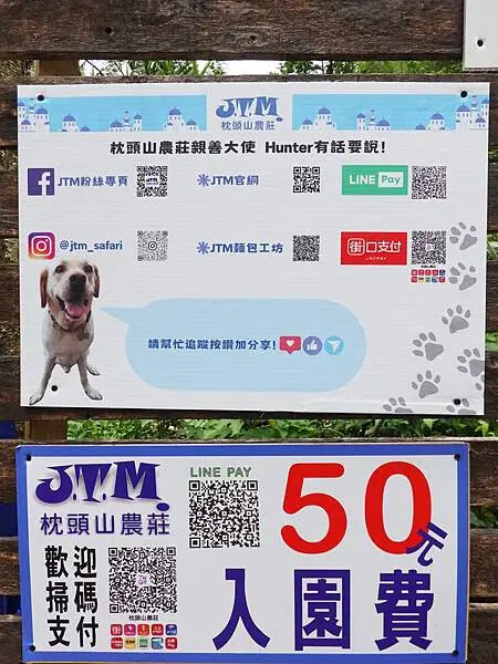 2025枕頭山農莊繡球花農園入園費 (2).JPG 2025枕頭山農莊繡球花農園入園費 (2).JPG