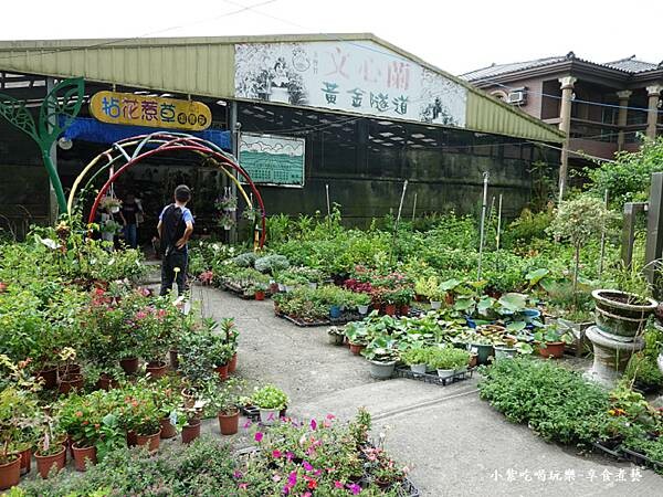 花卉販售區-金雙甡花卉農場.jpg 花卉販售區-金雙甡花卉農場.jpg