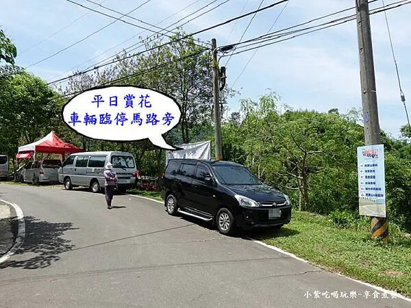 平日車子停馬路旁-枕頭山農莊24.jpg 平日車子停馬路旁-枕頭山農莊24.jpg