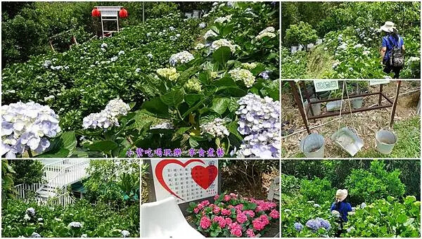 2025祿客農莊首圖.jpg 2025祿客農莊首圖.jpg