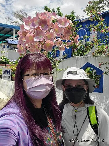 2025-519枕頭山農莊賞花趣.jpg 2025-519枕頭山農莊賞花趣.jpg